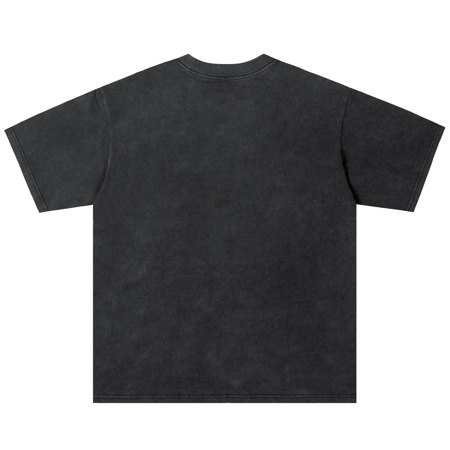 T-shirt 2 colors